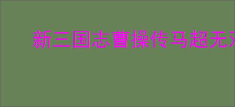 新三国志曹操传马超无双试炼5怎么过,新三国志曹操传马超试炼五打法