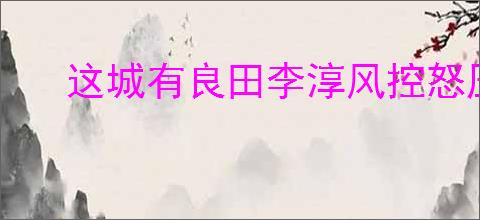 这城有良田李淳风控怒压制流怎么玩,这城有良田控怒压制流搭配推荐